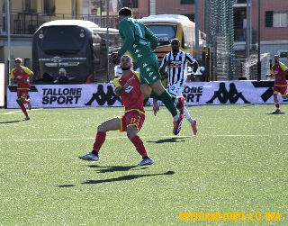 Serie C, festeggiano Novara e Pro Vercelli